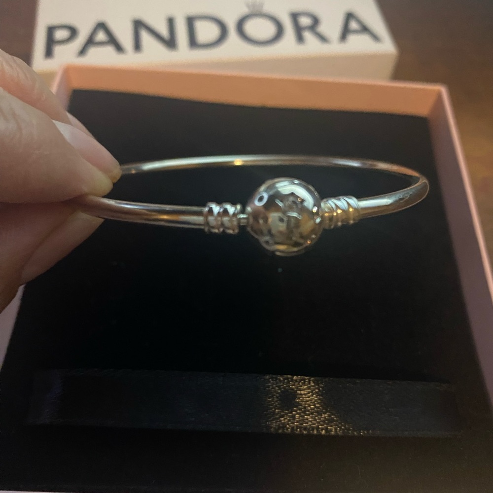 Pandora bracelet